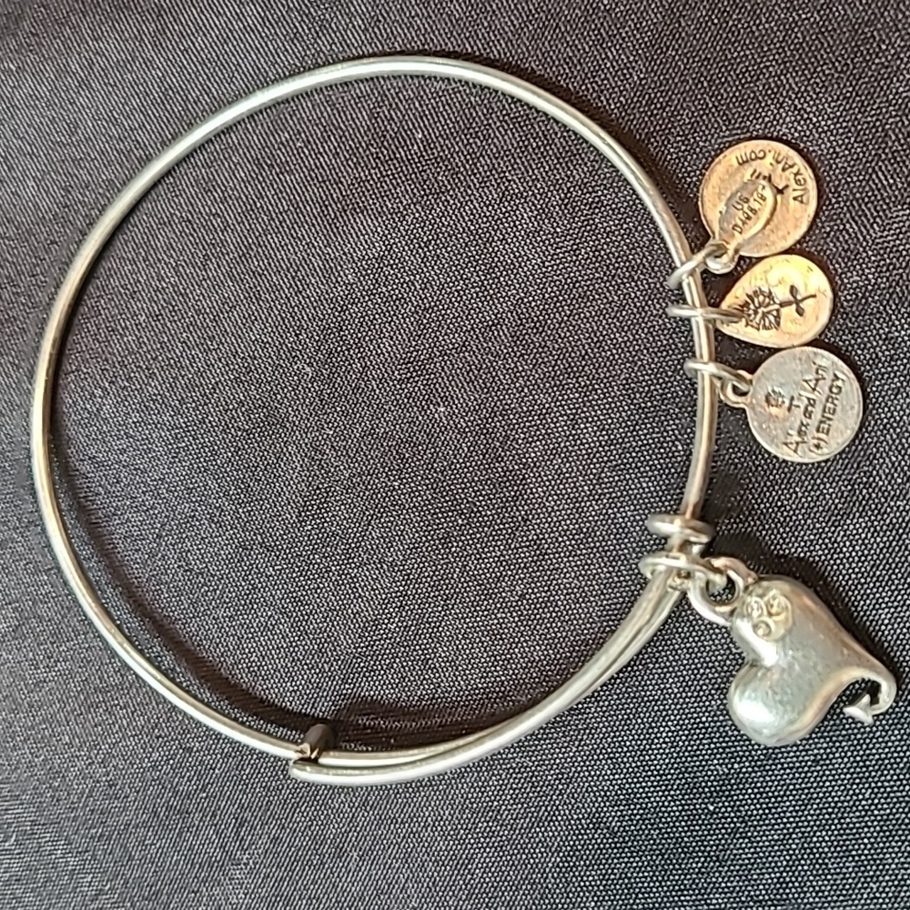 Alex and Ani Cupids Heart Bangle Rafaelian Silver Bangle Bracelet Rare